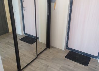 Сдаю 1-ком. квартиру, 25 м2, Санкт-Петербург, Среднерогатская улица, 14к1
