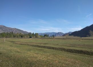 Земельный участок на продажу, 540 сот., село Каракол