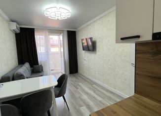 Сдается квартира студия, 22.9 м2, аул Новая Адыгея, улица Тургеневское шоссе, 33/2к24, ЖК Дарград