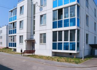 Квартира на продажу студия, 22.4 м2, Приозерск, улица Чапаева, 16к2