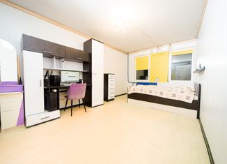 Продается 1-комнатная квартира, 32.1 м2, Санкт-Петербург, Парашютная улица, 12, метро Пионерская