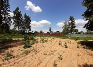 Продается участок, 17 сот., деревня Борисовка, деревня Борисовка, 3Б