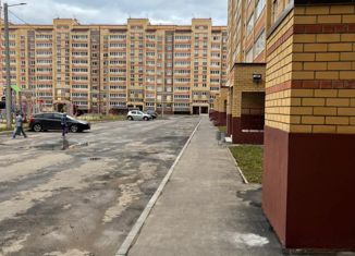 Продам 1-ком. квартиру, 42 м2, Йошкар-Ола, улица Марка Евтюхина, 8, микрорайон Дружный