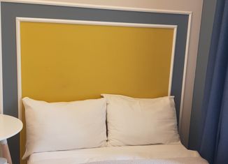 Продажа квартиры студии, 10.4 м2, Санкт-Петербург, Рижский проспект, 35, Рижский проспект