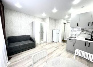 Продаю квартиру студию, 18 м2, Казань, улица Аделя Кутуя, 8, Советский район