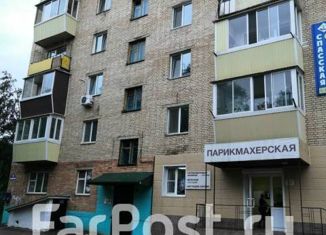 Продается двухкомнатная квартира, 45 м2, Арсеньев, улица Ломоносова, 10