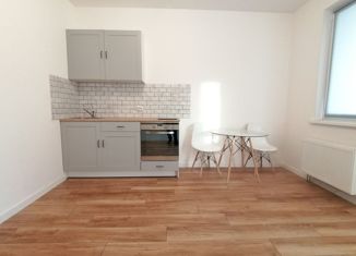 Квартира на продажу студия, 25 м2, Санкт-Петербург, Среднерогатская улица, 16к2, ЖК Фо Ю