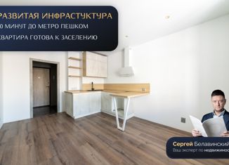 Квартира на продажу студия, 20.1 м2, Мурино, ЖК Краски Лета, Воронцовский бульвар, 16к1