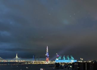 Квартира на продажу студия, 24.6 м2, Санкт-Петербург, Уральская улица, 21, метро Приморская