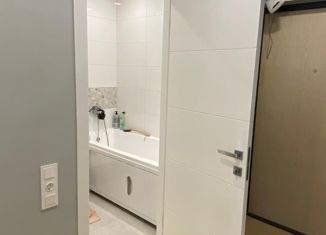 Продается квартира студия, 25 м2, деревня Куттузи, Уланская улица, 5