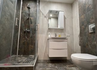 Продаю квартиру студию, 30 м2, Санкт-Петербург, Студенческая улица, 24к2, Студенческая улица