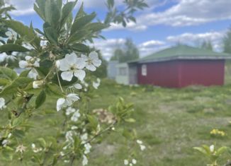 Продаю земельный участок, 10 сот., деревня Бордуки, деревня Бордуки, 196