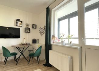 Продается квартира студия, 23.2 м2, Санкт-Петербург, Среднерогатская улица, 16к2, метро Звёздная