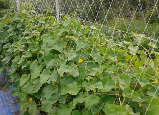 Продаю дом, 15 м2, Хабаровск, Амурская улица, 8