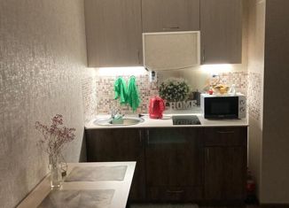 1-ком. квартира на продажу, 26.4 м2, Нижний Новгород, метро Парк Культуры