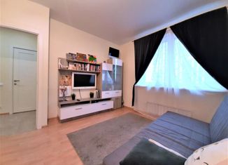 Сдача в аренду 1-комнатной квартиры, 37.6 м2, Новосибирск, улица Петухова, 160/1, ЖК Тулинка