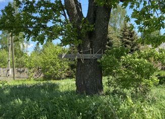 Участок на продажу, 12 сот., деревня Шапкино