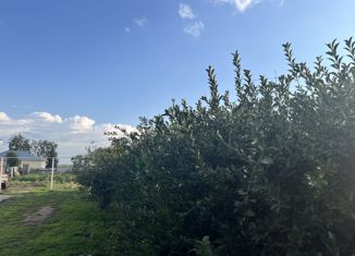 Продам дом, 112 м2, село Солнечное, улица 50 лет ВЛКСМ