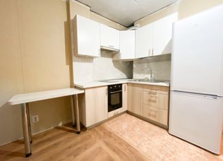 Продаю квартиру студию, 23.8 м2, Санкт-Петербург, проспект Маршала Жукова, 41, проспект Маршала Жукова