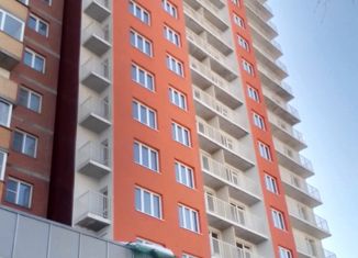 Продается квартира студия, 43 м2, Новосибирск, улица Добролюбова, 162/1