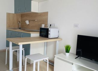Аренда квартиры студии, 24 м2, Санкт-Петербург, Плесецкая улица, 4, ЖК Ариосто