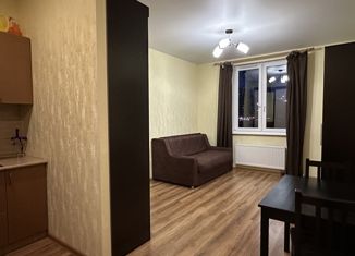 Продаю квартиру студию, 23.6 м2, Санкт-Петербург, 1-й Предпортовый проезд, 14, 1-й Предпортовый проезд