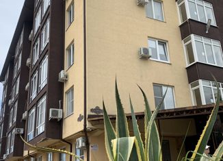 Продажа двухкомнатной квартиры, 60 м2, Сочи, Каспийская улица, 42Б, микрорайон Зорька