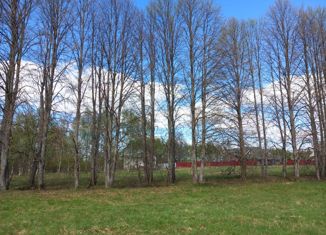 Продается земельный участок, 19 сот., село Красная Гора, Лесная улица