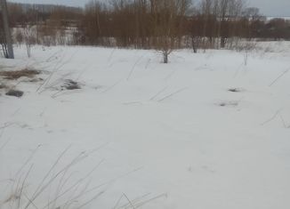 Участок на продажу, 40 сот., село Сорогужино