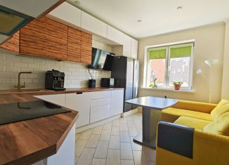 Продается однокомнатная квартира, 40 м2, Санкт-Петербург, проспект Королёва, 73, ЖК Каменка