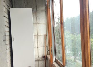 Продам 1-комнатную квартиру, 24 м2, Заречный, улица Конституции СССР, 41