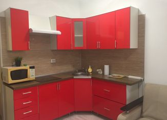 Сдача в аренду квартиры студии, 25 м2, Мурино, Скандинавский проезд, 2, ЖК Эланд