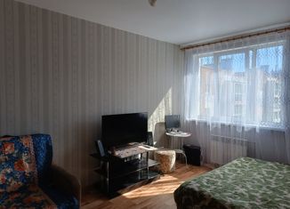 Продам 1-ком. квартиру, 31.1 м2, сельский посёлок Новинки, Приокская улица, 10