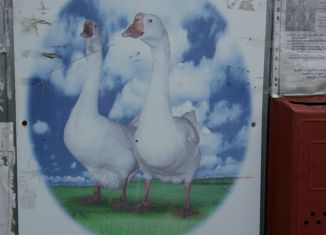 Продается участок, 15 сот., СНТ Гусиная Поляна