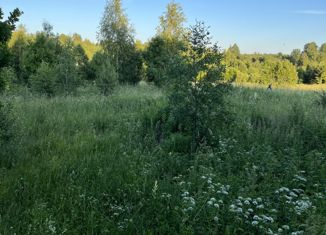 Продается участок, 36 сот., деревня Орловское