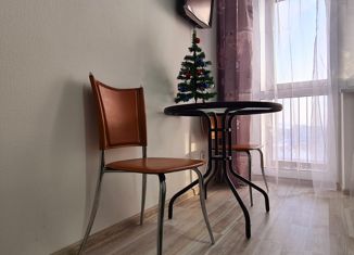 Сдаю квартиру студию, 20 м2, Екатеринбург, Хрустальногорская улица, 93