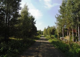 Земельный участок на продажу, 10 сот., СНТ Витязь