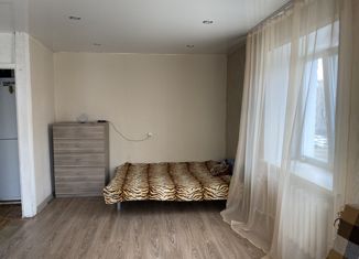 Продажа 1-комнатной квартиры, 31 м2, Новосибирск, Степная улица, 61А, Степная улица