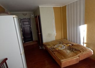 Продается квартира студия, 16.7 м2, Артём, улица Кирова, 150