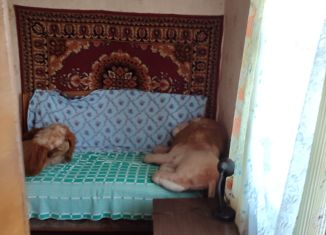 Продается дом, 59.7 м2, село Сетное, Центральная улица, 41