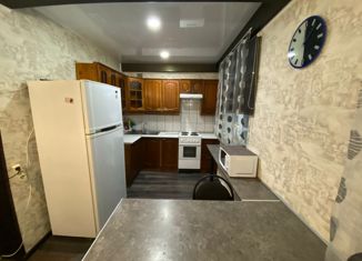 Продаю двухкомнатную квартиру, 57.8 м2, Санкт-Петербург, Елагинский проспект, 42, Елагинский проспект