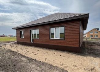 Продается дом, 127 м2, деревня Раздолье, Светлая улица, 13