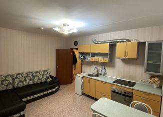 Квартира на продажу студия, 24.2 м2, Каменск-Уральский, улица Суворова, 20