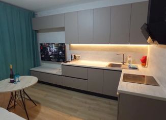 Продаю однокомнатную квартиру, 47 м2, Санкт-Петербург, ЖК Огни Залива, Ленинский проспект, 45к1