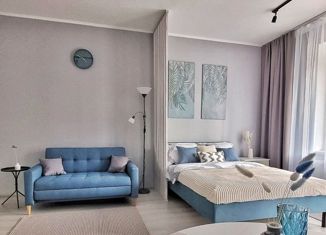Продам квартиру студию, 29.8 м2, Санкт-Петербург, Арцеуловская аллея, 19, ЖК Чистое Небо