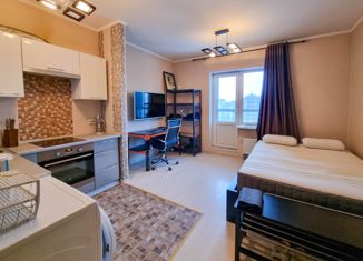 Продаю квартиру студию, 24.5 м2, Санкт-Петербург, Республиканская улица, 24к1, Республиканская улица