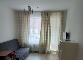 Продаю квартиру студию, 25 м2, Санкт-Петербург, Пулковское шоссе, 73к3, Пулковское шоссе