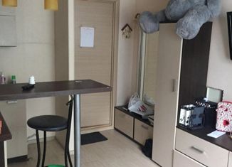 Продажа квартиры студии, 17 м2, Пермь, улица Богдана Хмельницкого, 58, Кировский район