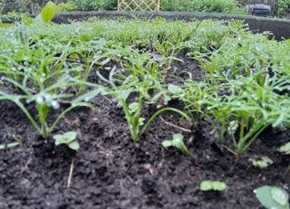 Участок на продажу, 10 сот., деревня Каравай, Центральная улица, 2