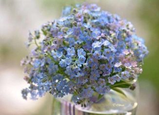 Продам дом, 120 м2, деревня Нагорное, Вишнёвая улица, 7